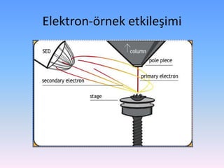 Elektron-örnek etkileşimi
 