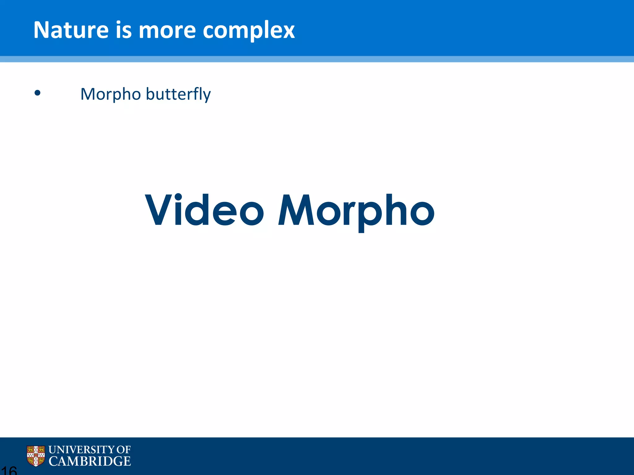 Nature is more complex
•

Morpho butterfly

Video Morpho

 