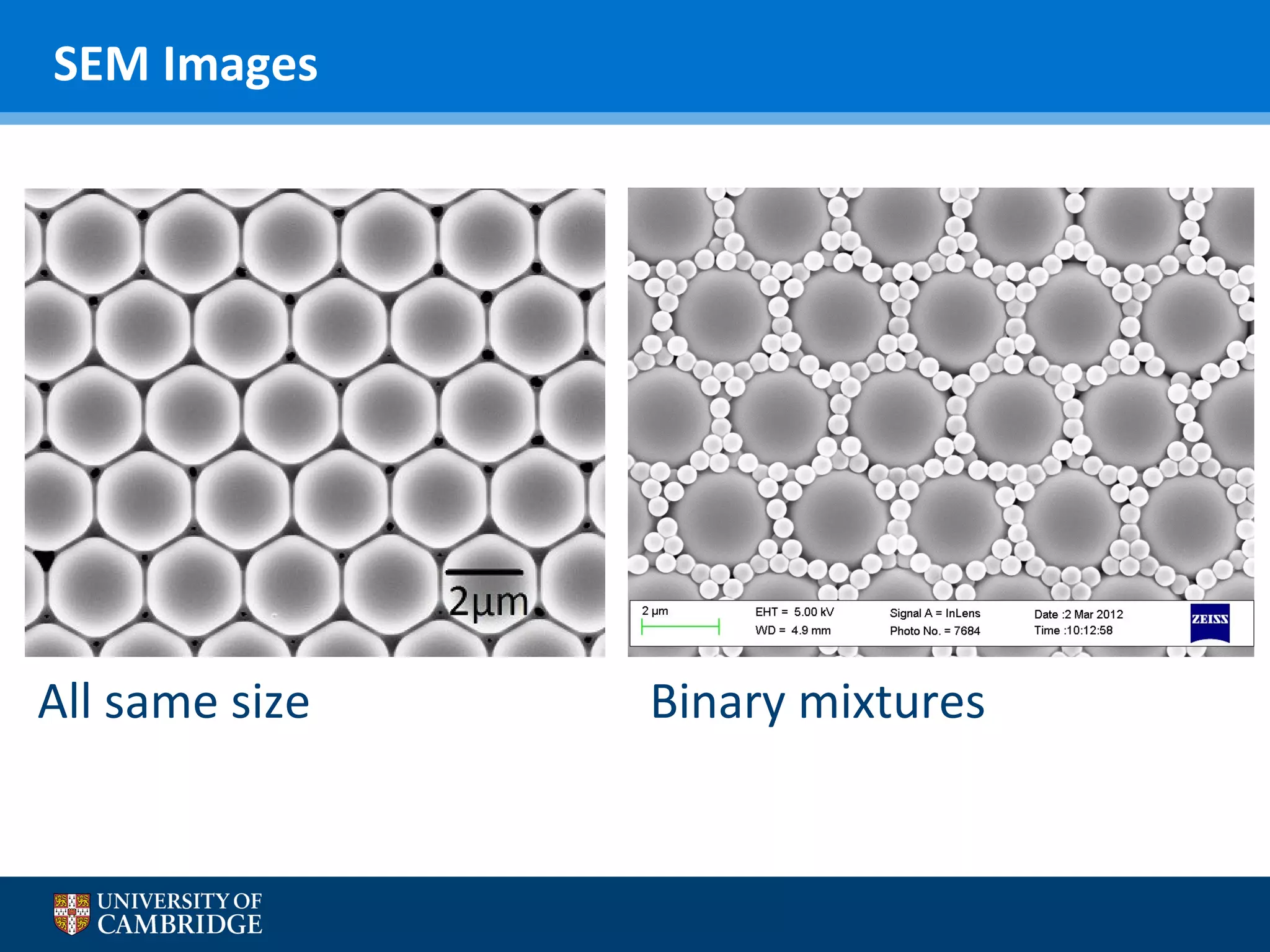 SEM Images

All same size

Binary mixtures

 