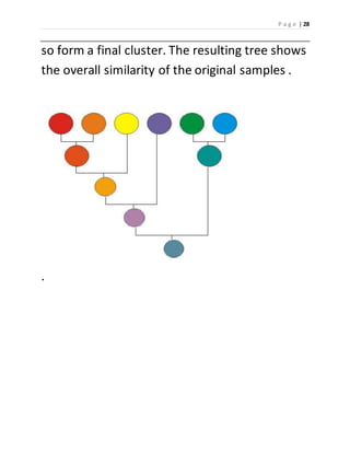 P a g e | 28 
so form a final cluster. The resulting tree shows 
the overall similarity of the original samples . 
. 
 