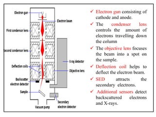  Electron gun consisting of
cathode and anode.
 The condenser lens
controls the amount of
electrons travelling down
the column
 The objective lens focuses
the beam into a spot on
the sample.
 Deflection coil helps to
deflect the electron beam.
 SED attracts the
secondary electrons.
 Additional sensors detect
backscattered electrons
and X-rays.
 