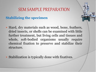 SEM SAMPLE PREPARATION
Stabilizing the specimen
 Hard, dry materials such as wood, bone, feathers,
dried insects, or shells can be examined with little
further treatment, but living cells and tissues and
whole, soft-bodied organisms usually require
chemical fixation to preserve and stabilize their
structure.
 Stabilization is typically done with fixatives.
 