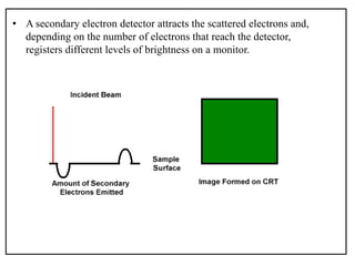 • A secondary electron detector attracts the scattered electrons and,
depending on the number of electrons that reach the detector,
registers different levels of brightness on a monitor.
 