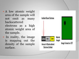  A low atomic weight
area of the sample will
not emit as many
backscattered
electrons as a high
atomic weight area of
the sample.
 In reality, the image
is mapping out the
density of the sample
surface.
 