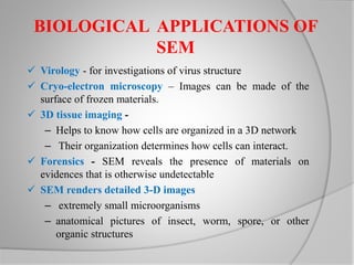 BIOLOGICAL APPLICATIONS OF
SEM
 Virology - for investigations of virus structure
 Cryo-electron microscopy – Images can be made of the
surface of frozen materials.
 3D tissue imaging -
– Helps to know how cells are organized in a 3D network
– Their organization determines how cells can interact.
 Forensics - SEM reveals the presence of materials on
evidences that is otherwise undetectable
 SEM renders detailed 3-D images
– extremely small microorganisms
– anatomical pictures of insect, worm, spore, or other
organic structures
 