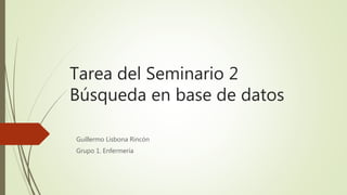 Tarea del Seminario 2
Búsqueda en base de datos
Guillermo Lisbona Rincón
Grupo 1. Enfermería
 