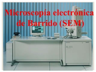 Microscopía electrónica
de Barrido (SEM)
 