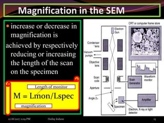 Magnification in the SEM
 increase or decrease in
magnification is
achieved by respectively
reducing or increasing
the length of the scan
on the specimen
.
12/18/2017 2:09 PM Hailay kidane 15
M = Lmon/Lspec
Length of monitor
magnification
 