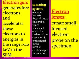 12/18/2017 2:09 PM Hailay kidane 7
generates free
electrons
and
accelerates
these
electrons to
energies in
the range 1-40
keV in the
SEM
:
create small,
focused
electron
probe on the
specimen.
electron
beam is
focused into a
fine probe,
which
is scanned
across the
surface of the
specimen &
emits signal
in the
form of
electromagne
tic radiation
 