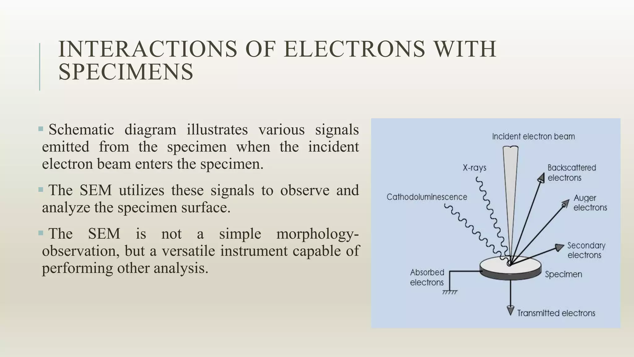 INTERACTIONS OF ELECTRONS WITH
SPECIMENS
 Schematic diagram illustrates various signals
emitted from the specimen when the incident
electron beam enters the specimen.
 The SEM utilizes these signals to observe and
analyze the specimen surface.
 The SEM is not a simple morphology-
observation, but a versatile instrument capable of
performing other analysis.
 
