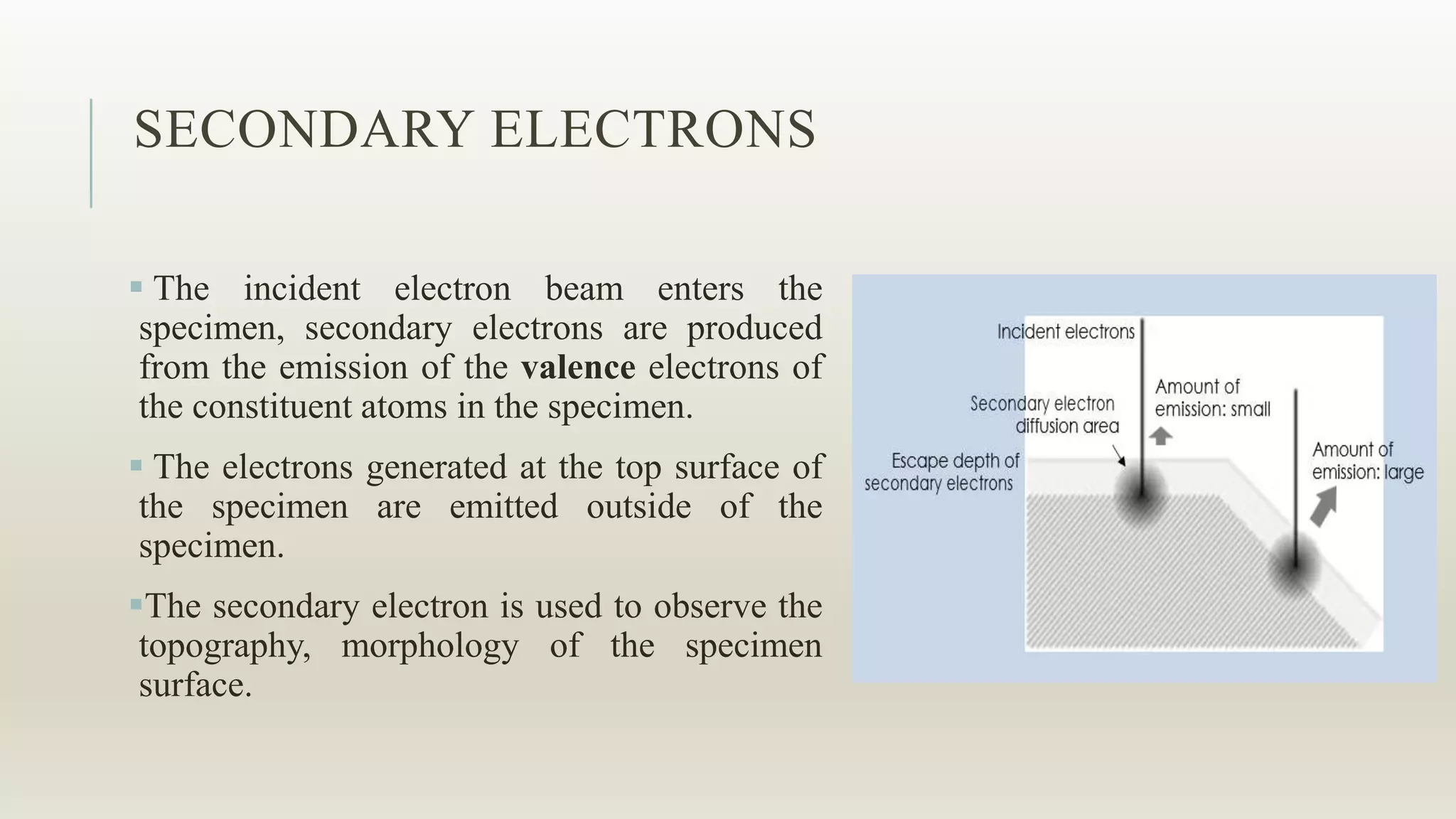 SECONDARY ELECTRONS
 The incident electron beam enters the
specimen, secondary electrons are produced
from the emission of the valence electrons of
the constituent atoms in the specimen.
 The electrons generated at the top surface of
the specimen are emitted outside of the
specimen.
The secondary electron is used to observe the
topography, morphology of the specimen
surface.
 