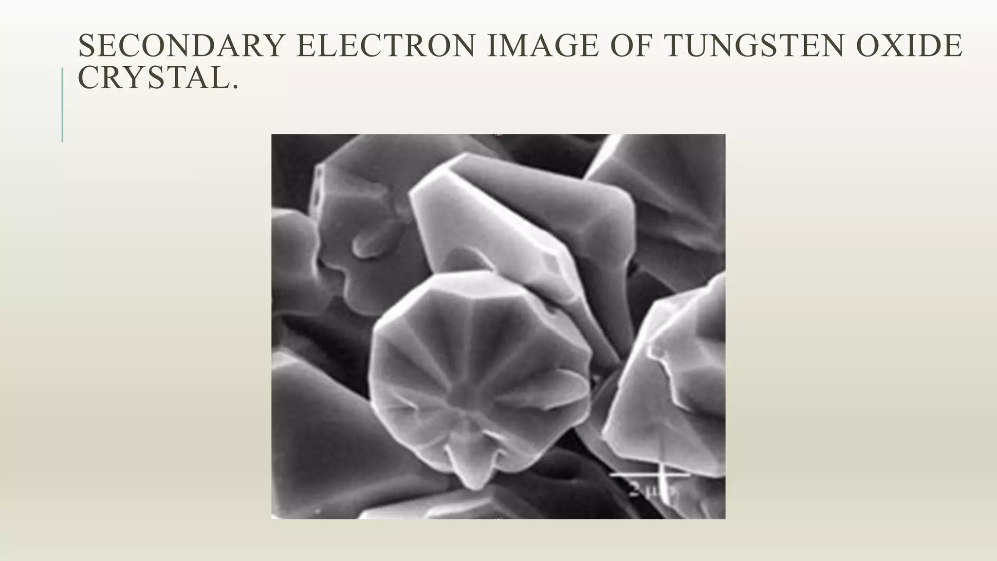 SECONDARY ELECTRON IMAGE OF TUNGSTEN OXIDE
CRYSTAL.
 