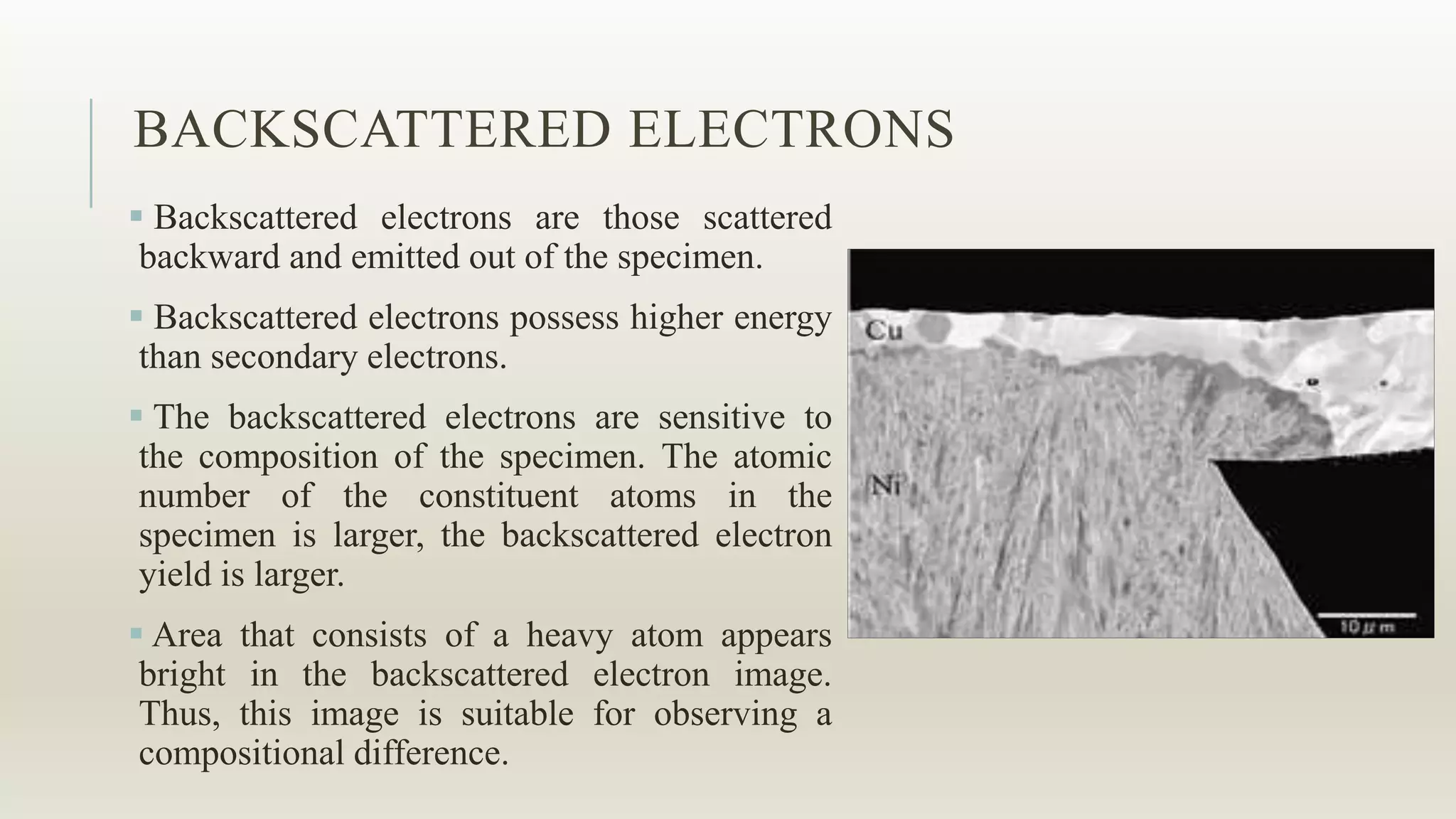 BACKSCATTERED ELECTRONS
 Backscattered electrons are those scattered
backward and emitted out of the specimen.
 Backscattered electrons possess higher energy
than secondary electrons.
 The backscattered electrons are sensitive to
the composition of the specimen. The atomic
number of the constituent atoms in the
specimen is larger, the backscattered electron
yield is larger.
 Area that consists of a heavy atom appears
bright in the backscattered electron image.
Thus, this image is suitable for observing a
compositional difference.
 