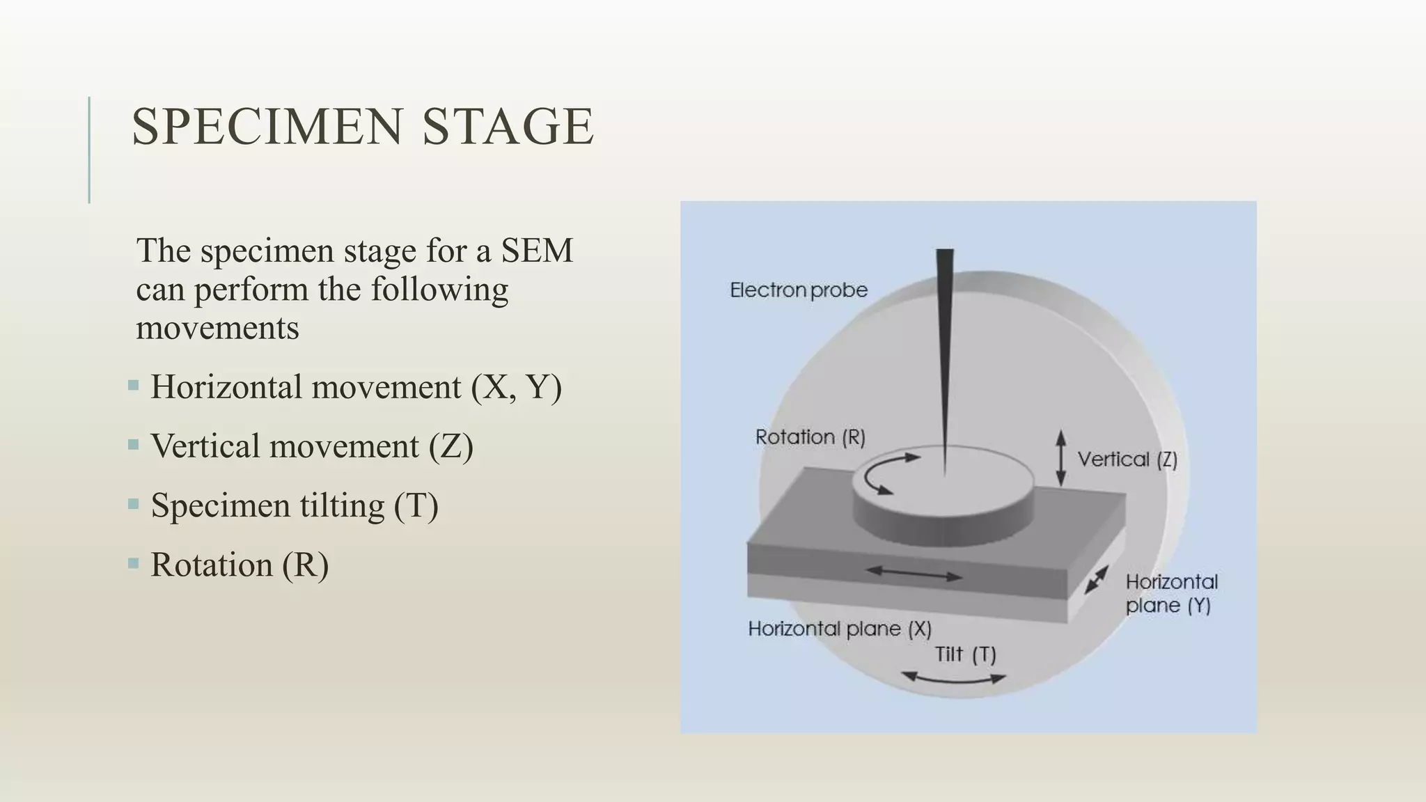 SPECIMEN STAGE
The specimen stage for a SEM
can perform the following
movements
 Horizontal movement (X, Y)
 Vertical movement (Z)
 Specimen tilting (T)
 Rotation (R)
 