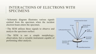 INTERACTIONS OF ELECTRONS WITH
SPECIMENS
 Schematic diagram illustrates various signals
emitted from the specimen when the incident
electron beam enters the specimen.
 The SEM utilizes these signals to observe and
analyze the specimen surface.
 The SEM is not a simple morphology-
observation, but a versatile instrument capable of
performing other analysis.
 