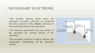 SECONDARY ELECTRONS
 The incident electron beam enters the
specimen, secondary electrons are produced
from the emission of the valence electrons of
the constituent atoms in the specimen.
 The electrons generated at the top surface of
the specimen are emitted outside of the
specimen.
The secondary electron is used to observe the
topography, morphology of the specimen
surface.
 