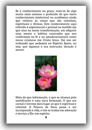 4
Se é conhecimento na graça, trata-se de algo
muito mais extenso e profundo do que mero
conhecimento intelectual ou acadêmico ainda
que relativo às coisas que são celestiais,
espirituais e divinas. Este conhecimento aqui
referido é experiencial e pessoal na medida em
que atua na nossa transformação, em adquirir
uma mente e hábitos renovados que nos
confirmam na fé e no amadurecimento como
novas criaturas em Cristo Jesus. Daí nos ser
ordenado que andemos no Espírito Santo, ou
seja, que sigamos a sua instrução, direção e
mover.
Mais do que informação, o que se alcança pela
santificação é uma nova formação. O que era
carnal e terreno dará lugar ao que é espiritual e
celestial. A Palavra de Deus passa a ser
incorporada à vida, e isto se traduz em adoração
e serviço a Ele, em espírito.
 