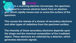 Principle
In a scanning electron microscope, the specimen
is exposed to a narrow electron beam from an electron
gun, which rapidly moves over or scans the surface of the
specimen.
This causes the release of a shower of secondary electrons
and other types of radiations from the specimen surface.
The intensity of these secondary electrons depends upon
the shape and the chemical composition of the irradiated
object. These electrons are collected by a detector, which
generates electronic signals.
19
 