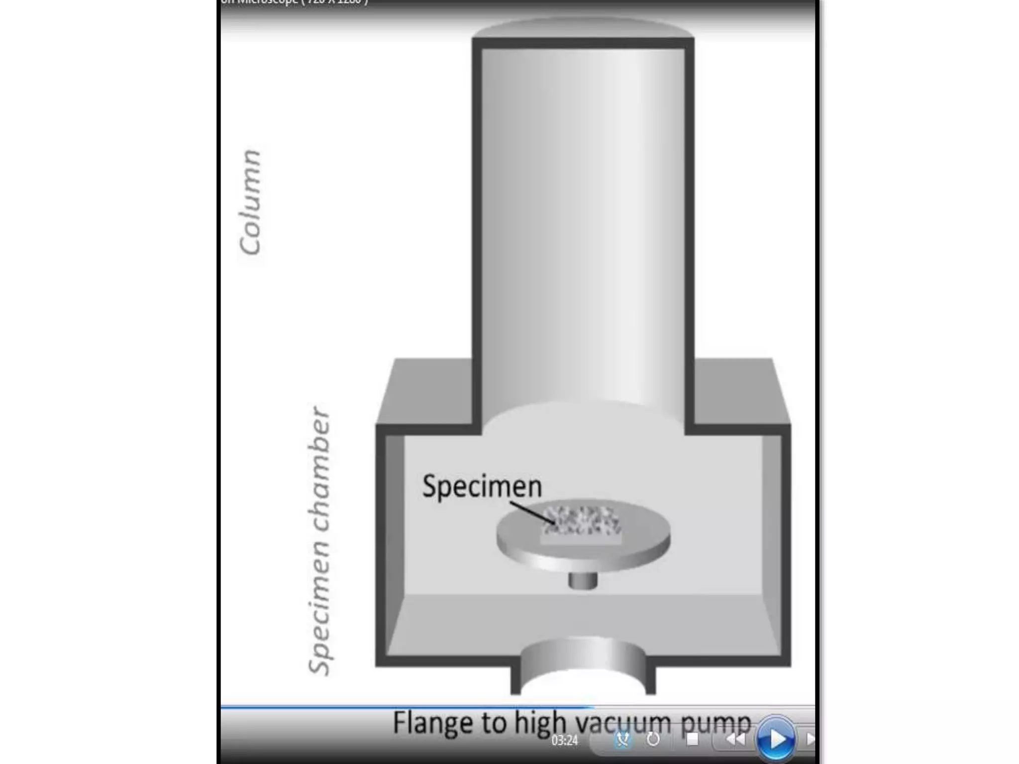 Electron microscopy (SEM) 