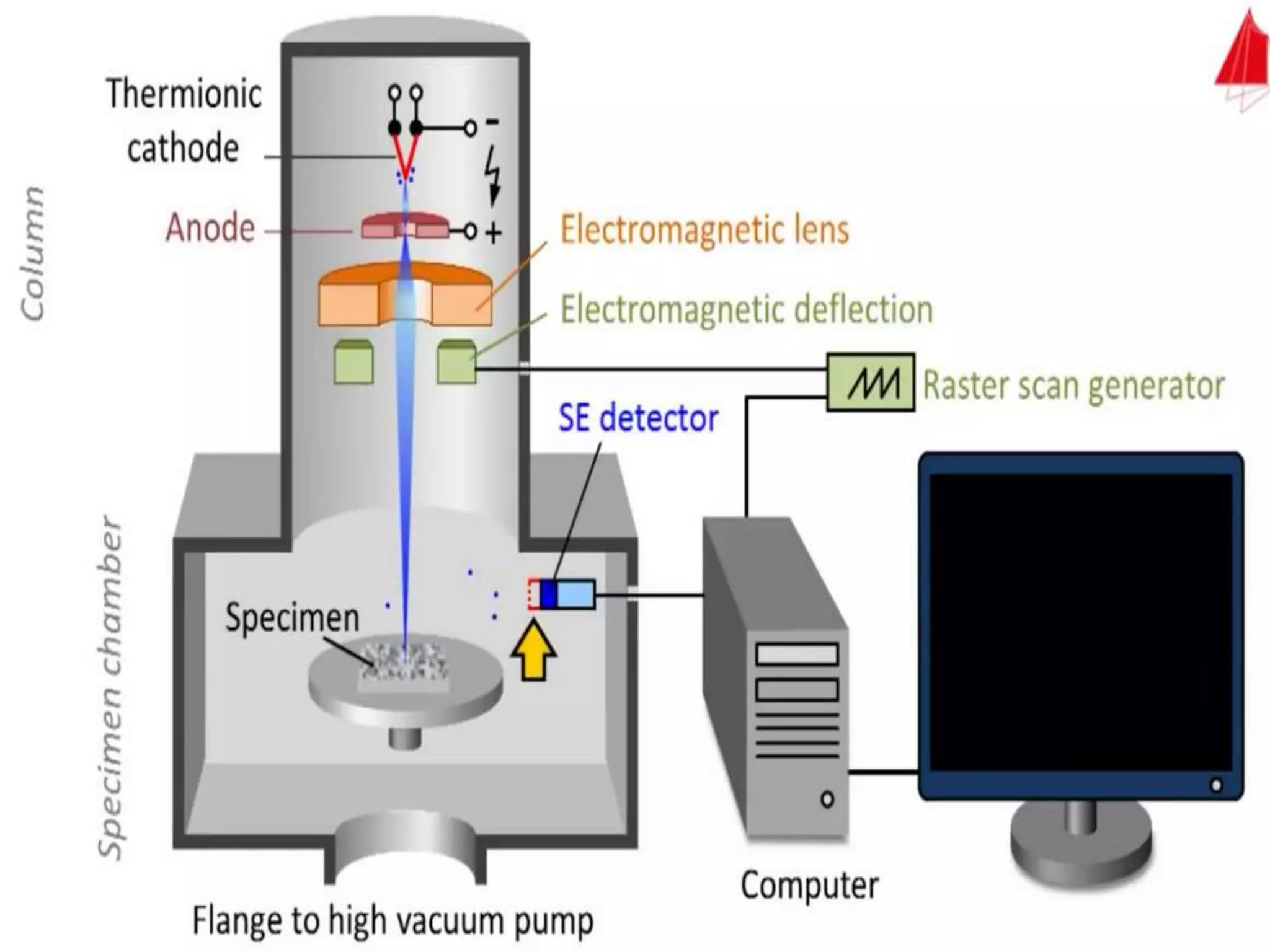 Electron microscopy (SEM) 