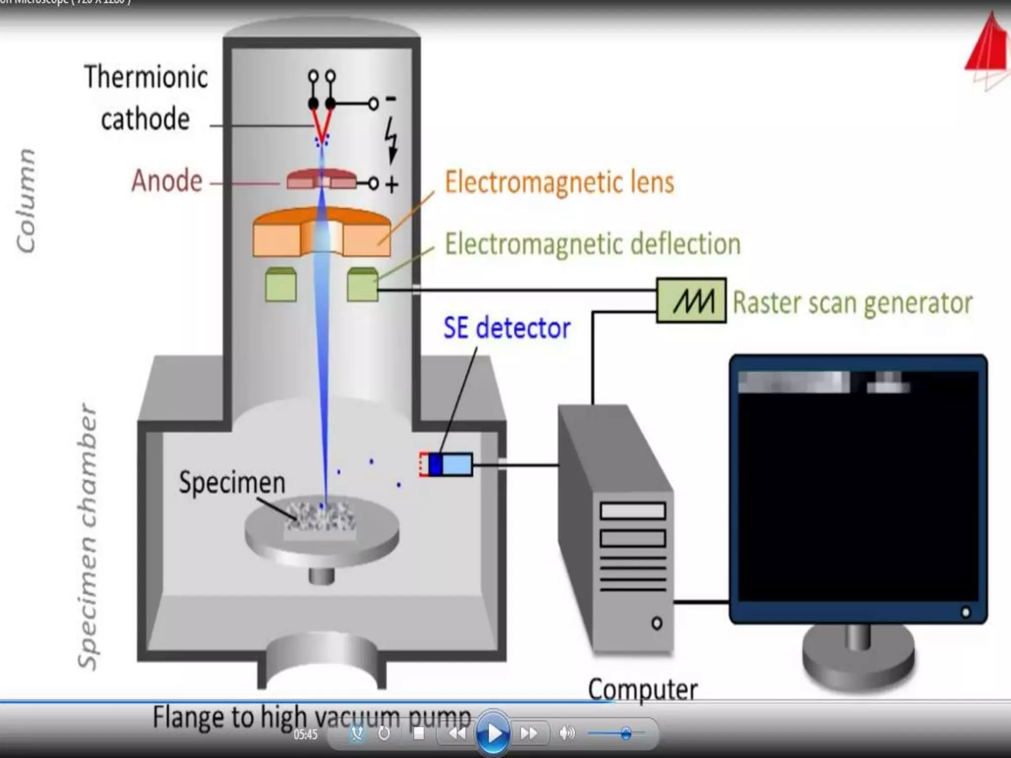 Electron microscopy (SEM) 
