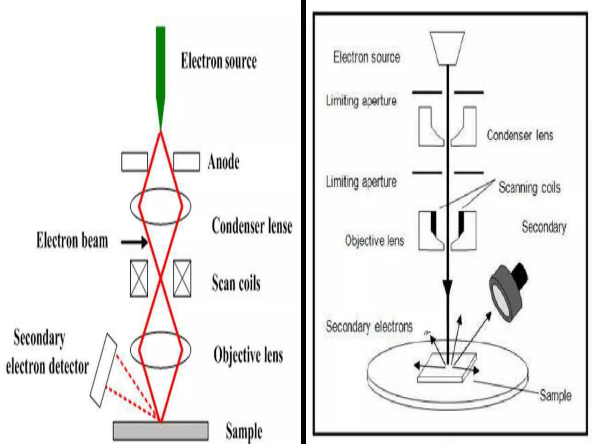 Electron microscopy (SEM) 
