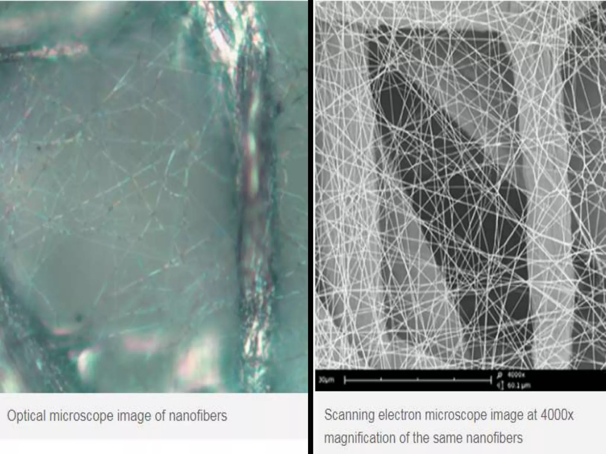 Electron microscopy (SEM) 