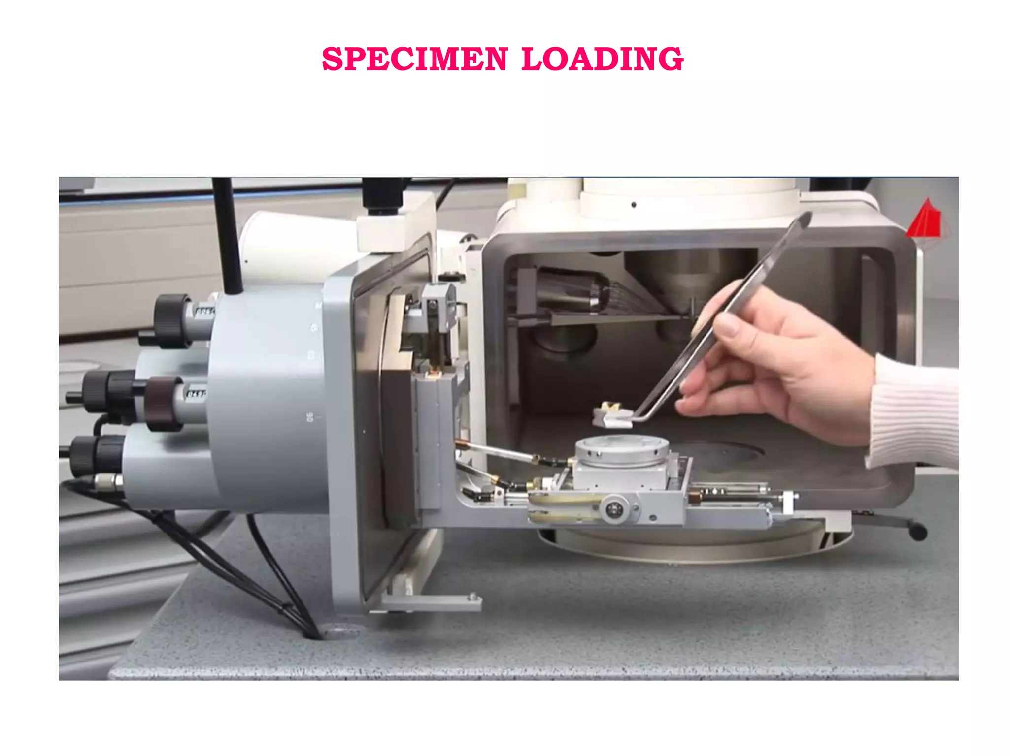 Electron microscopy (SEM) 