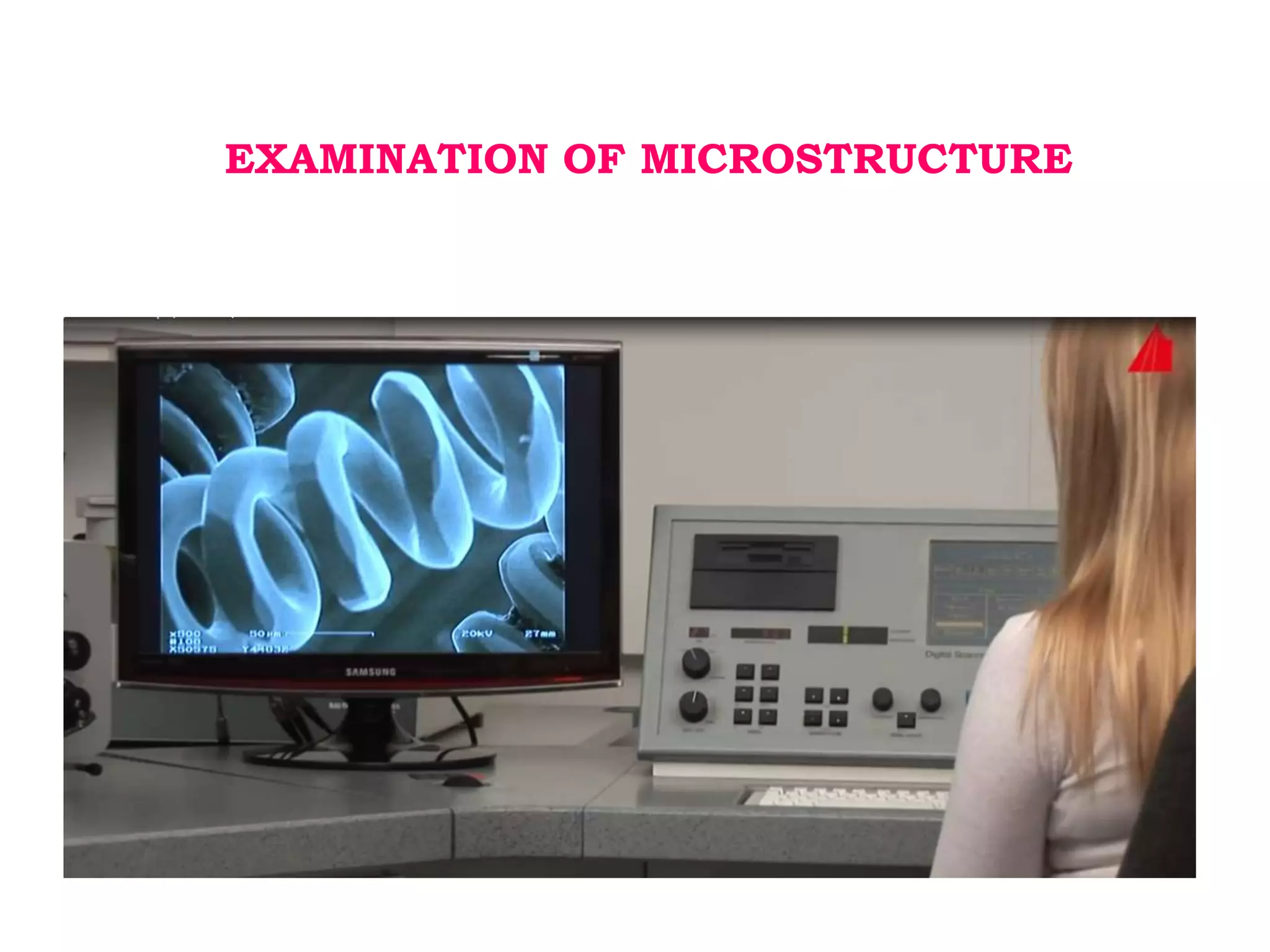 Electron microscopy (SEM) 