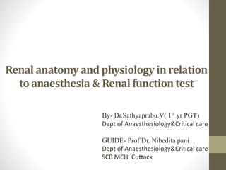 Renal anatomy and physiology in relation
to anaesthesia & Renal function test
By- Dr.Sathyaprabu.V( 1st yr PGT)
Dept of Anaesthesiology&Critical care
GUIDE- Prof Dr. Nibedita pani
Dept of Anaesthesiology&Critical care
SCB MCH, Cuttack
 