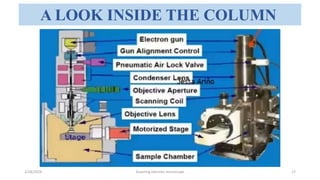 Scanning electron microscope - SEM , Its applicability in rasashastra ...