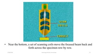 Scanning electron microscope - SEM , Its applicability in rasashastra ...