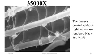 Scanning electron microscope - SEM , Its applicability in rasashastra ...