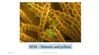 Scanning electron microscope - SEM , Its applicability in rasashastra ...