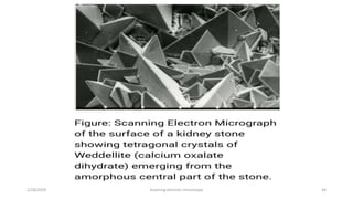 Scanning electron microscope - SEM , Its applicability in rasashastra ...