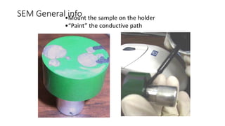 SEM General info
•Mount the sample on the holder
•“Paint” the conductive path
 