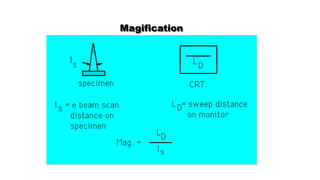 Magification
 