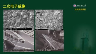 Fin Sem Example Image Examples for scanning electron microscopy (SEM).pdf