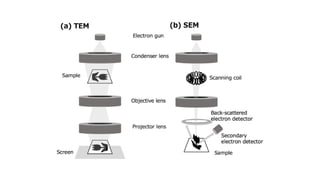 Advanced Scanning Electron Microscopy (SEM) and EDX Techniques for ...