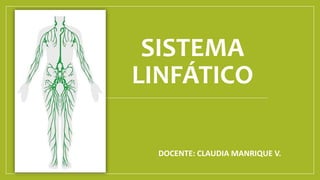 SISTEMA
LINFÁTICO
DOCENTE: CLAUDIA MANRIQUE V.
 