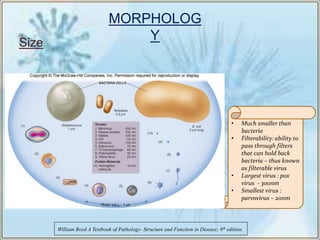 Filterable Virus Herpes Simplex viral Infection - Dr Sanjana Ravindra | PDF