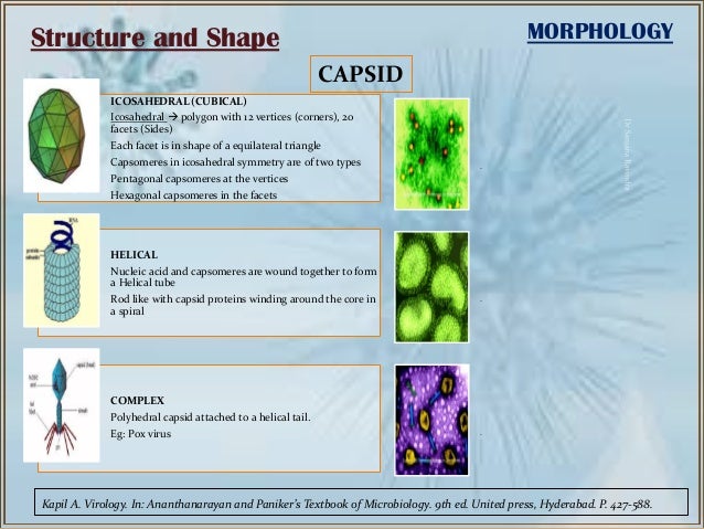 Herpes Simplex Viral Infection Dr Sanjana Ravindra