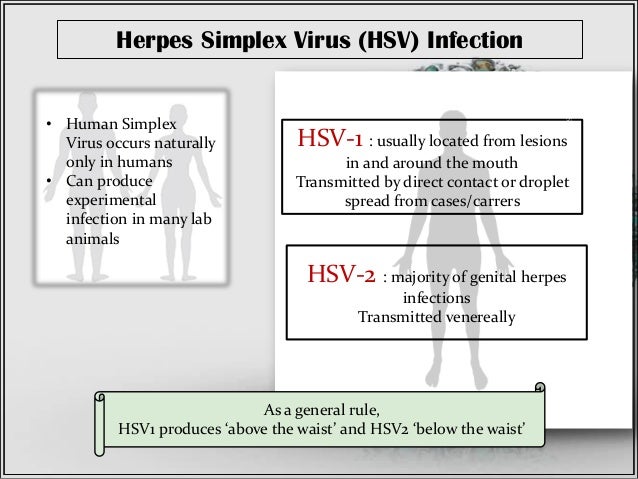 Herpes Simplex Viral Infection Dr Sanjana Ravindra