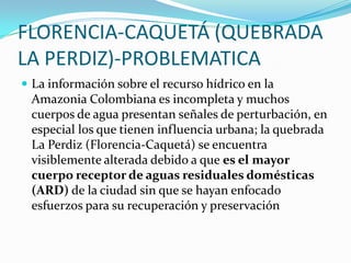 El desarrollo urbano no controlado y la falta de programas de prevención, han contribuido al deterioro de los principales ríos del país.Las principales fuentes de contaminación hídrica son: