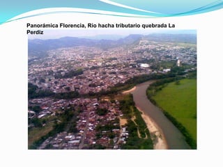 residuos de la actividad agropecuaria