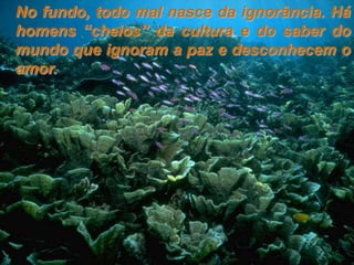 No fundo, todo mal nasce da ignorância. Há
homens “cheios” da cultura e do saber do
mundo que ignoram a paz e desconhecem o
amor.
 
