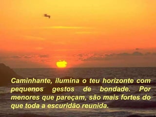 Caminhante, ilumina o teu horizonte com
pequenos gestos de bondade. Por
menores que pareçam, são mais fortes do
que toda a escuridão reunida.
 