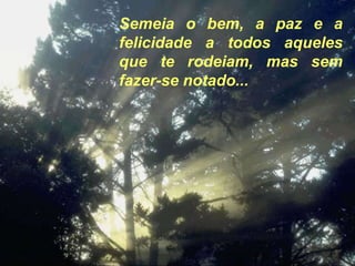 Semeia o bem, a paz e a
felicidade a todos aqueles
que te rodeiam, mas sem
fazer-se notado...
 