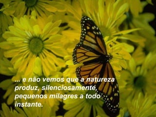 ... e não vemos que a natureza
produz, silenciosamente,
pequenos milagres a todo
instante.
 