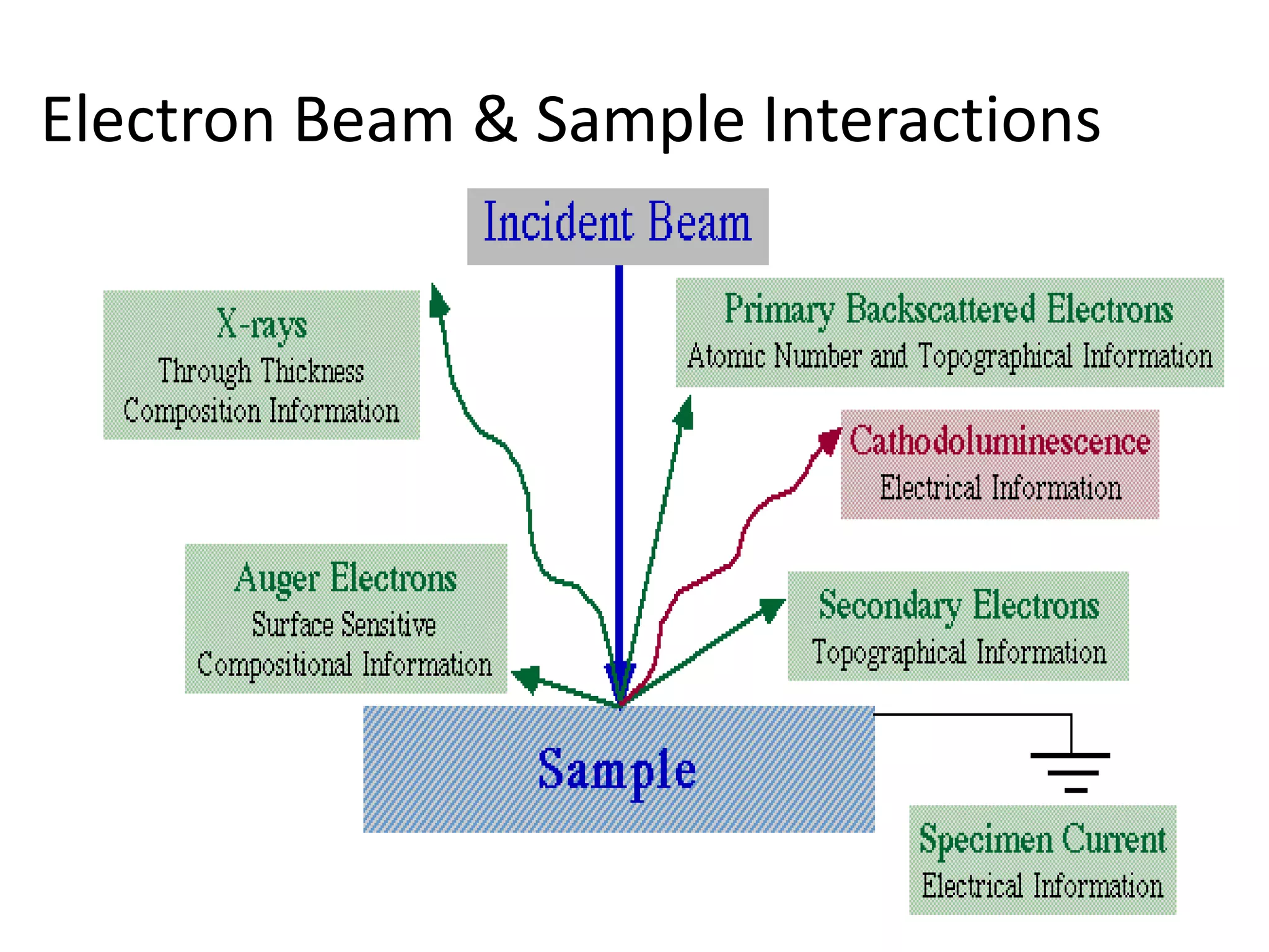 8/30/2016 bhargava 15
Electron Beam & Sample Interactions
 